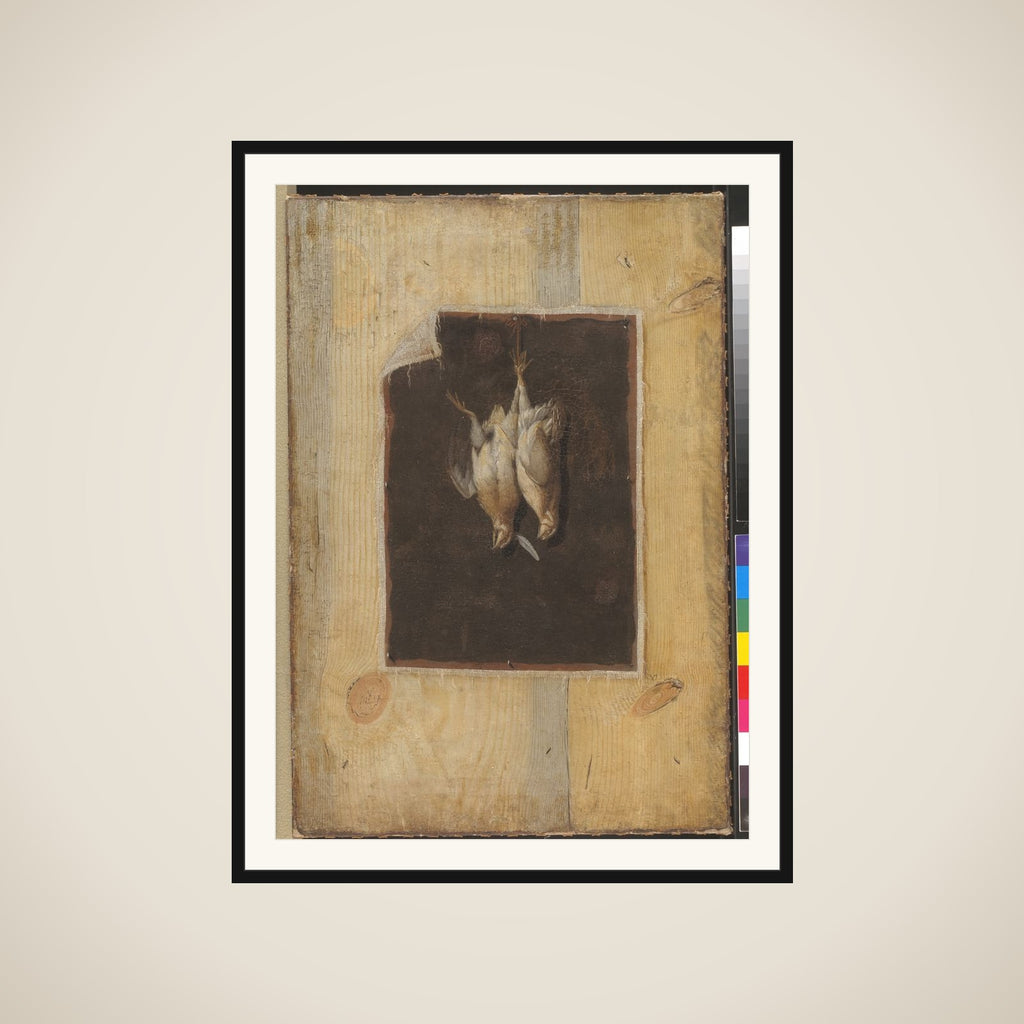 Trompe l'oeil. Bræddevæg med stilleben af to døde fugle ophængt på en væg framed