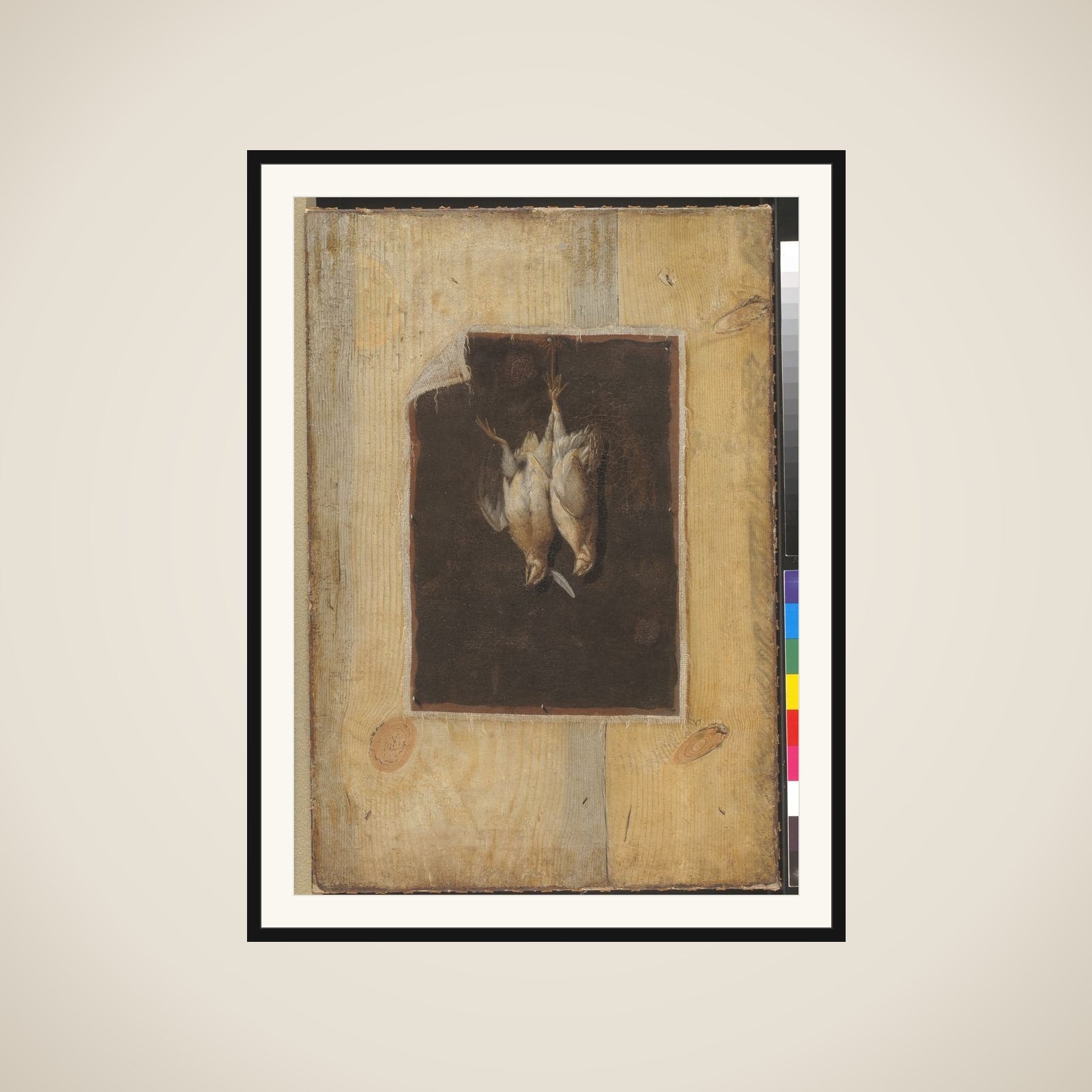 Trompe l'oeil. Bræddevæg med stilleben af to døde fugle ophængt på en væg framed