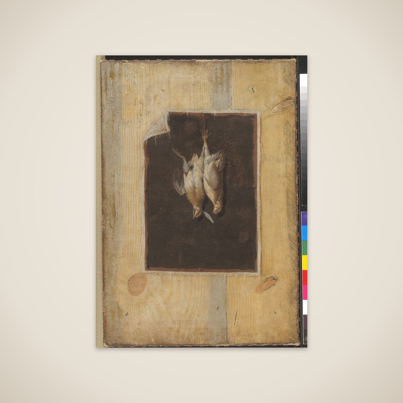 Trompe l'oeil. Bræddevæg med stilleben af to døde fugle ophængt på en væg unframed print
