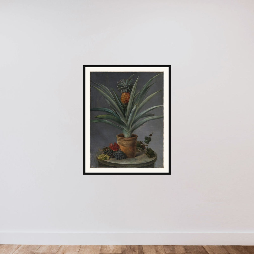 En ananas i urtepotte og druer på et stenbord framed — shown to scale