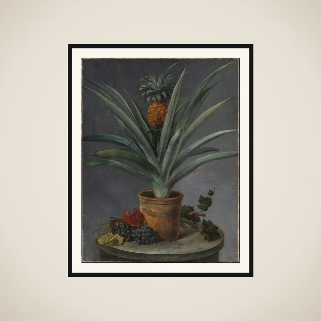En ananas i urtepotte og druer på et stenbord framed