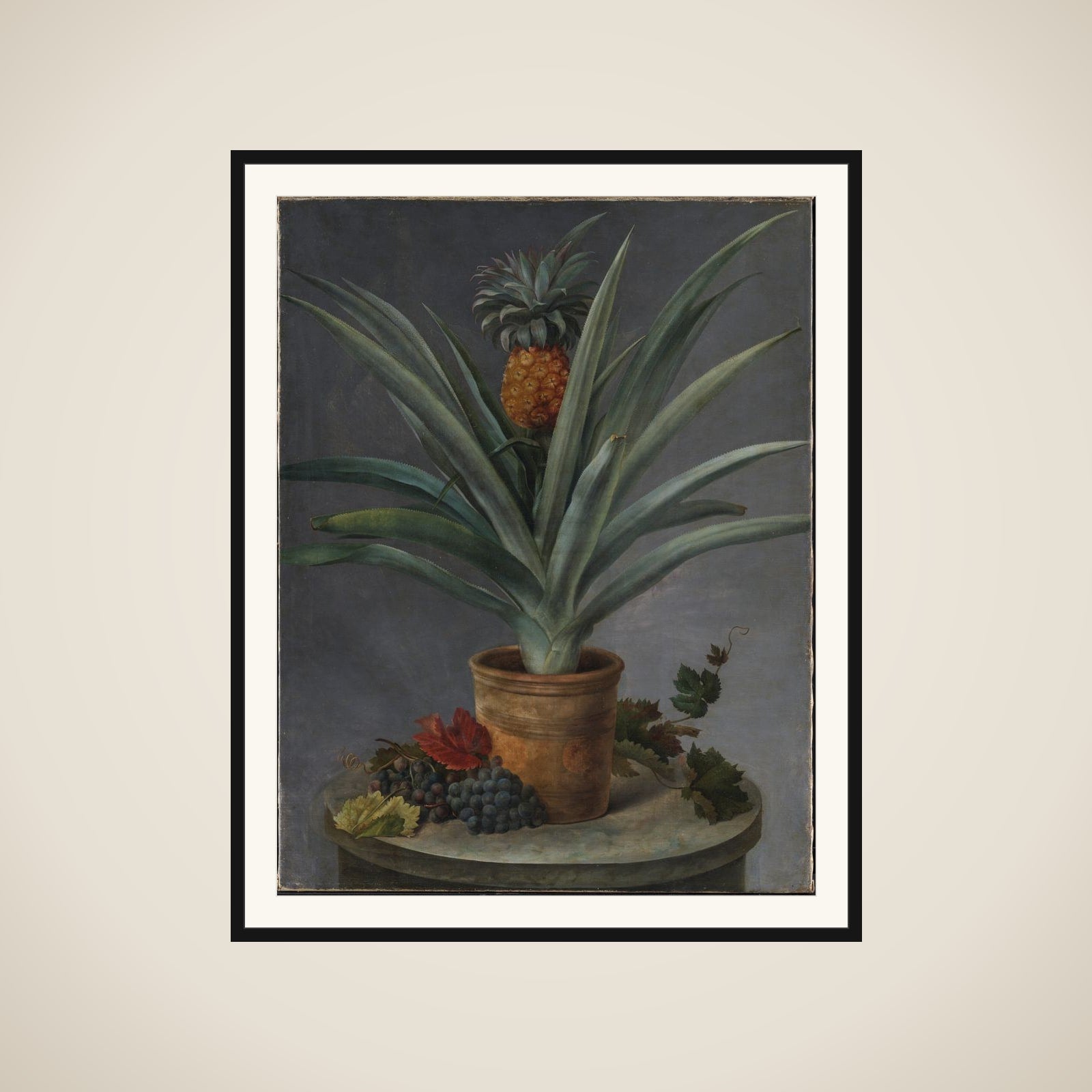 En ananas i urtepotte og druer på et stenbord framed