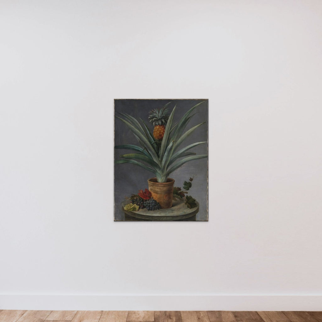 En ananas i urtepotte og druer på et stenbord unframed — shown to scale