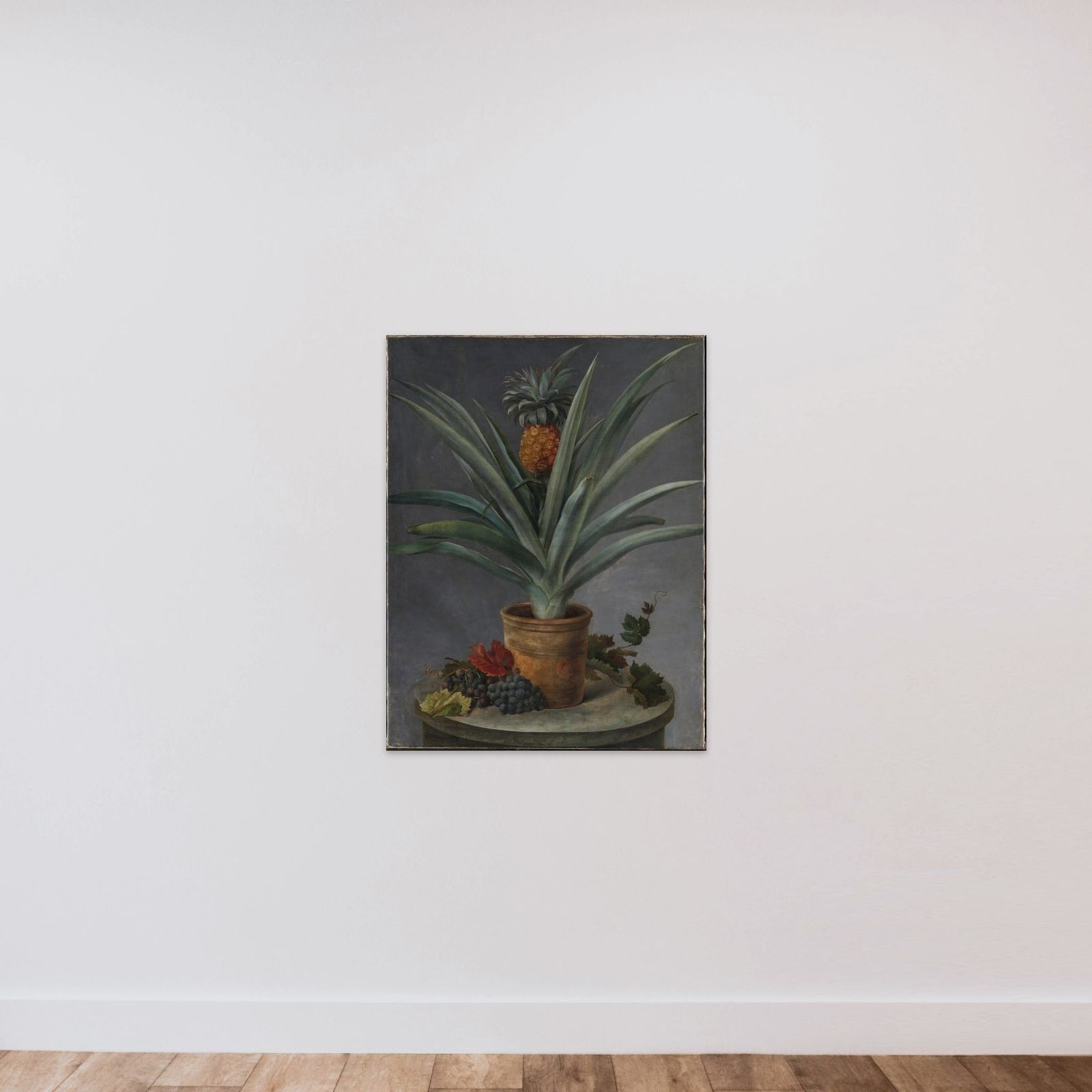 En ananas i urtepotte og druer på et stenbord unframed — shown to scale