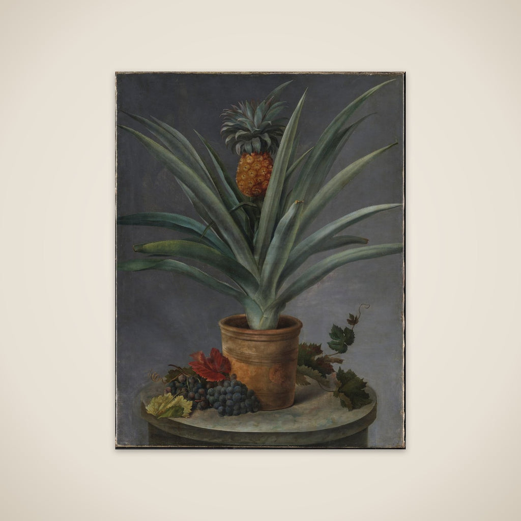 En ananas i urtepotte og druer på et stenbord unframed print