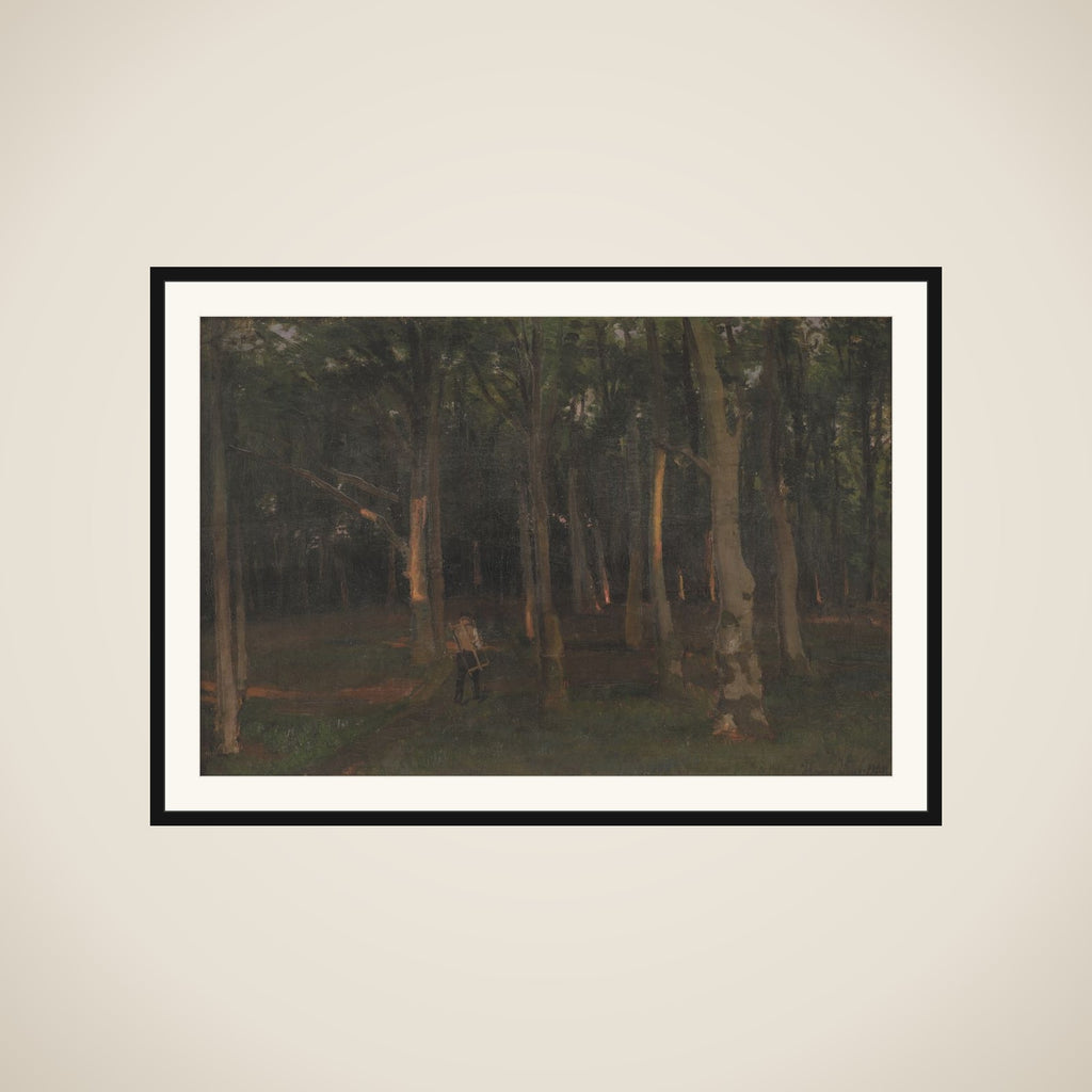Skov ved solnedgang framed