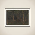 Skov ved solnedgang framed