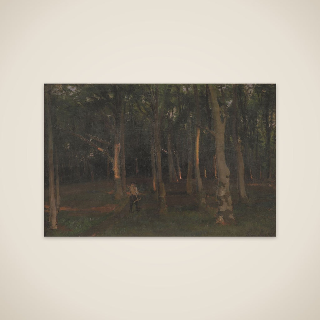 Skov ved solnedgang unframed print