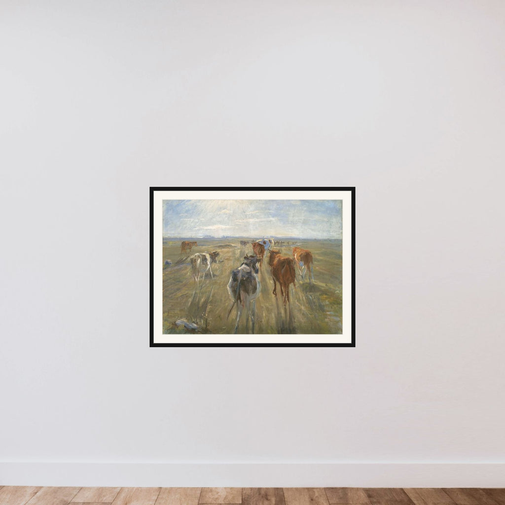 Lange skygger. Kvæg på Saltholm framed — shown to scale