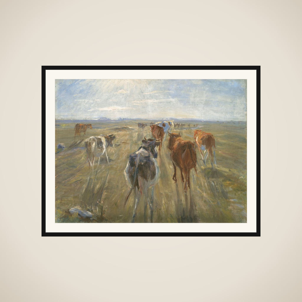Lange skygger. Kvæg på Saltholm framed