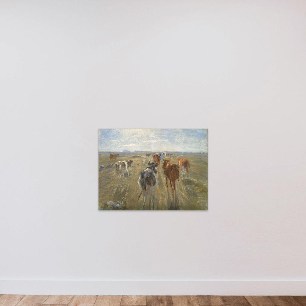 Lange skygger. Kvæg på Saltholm unframed — shown to scale
