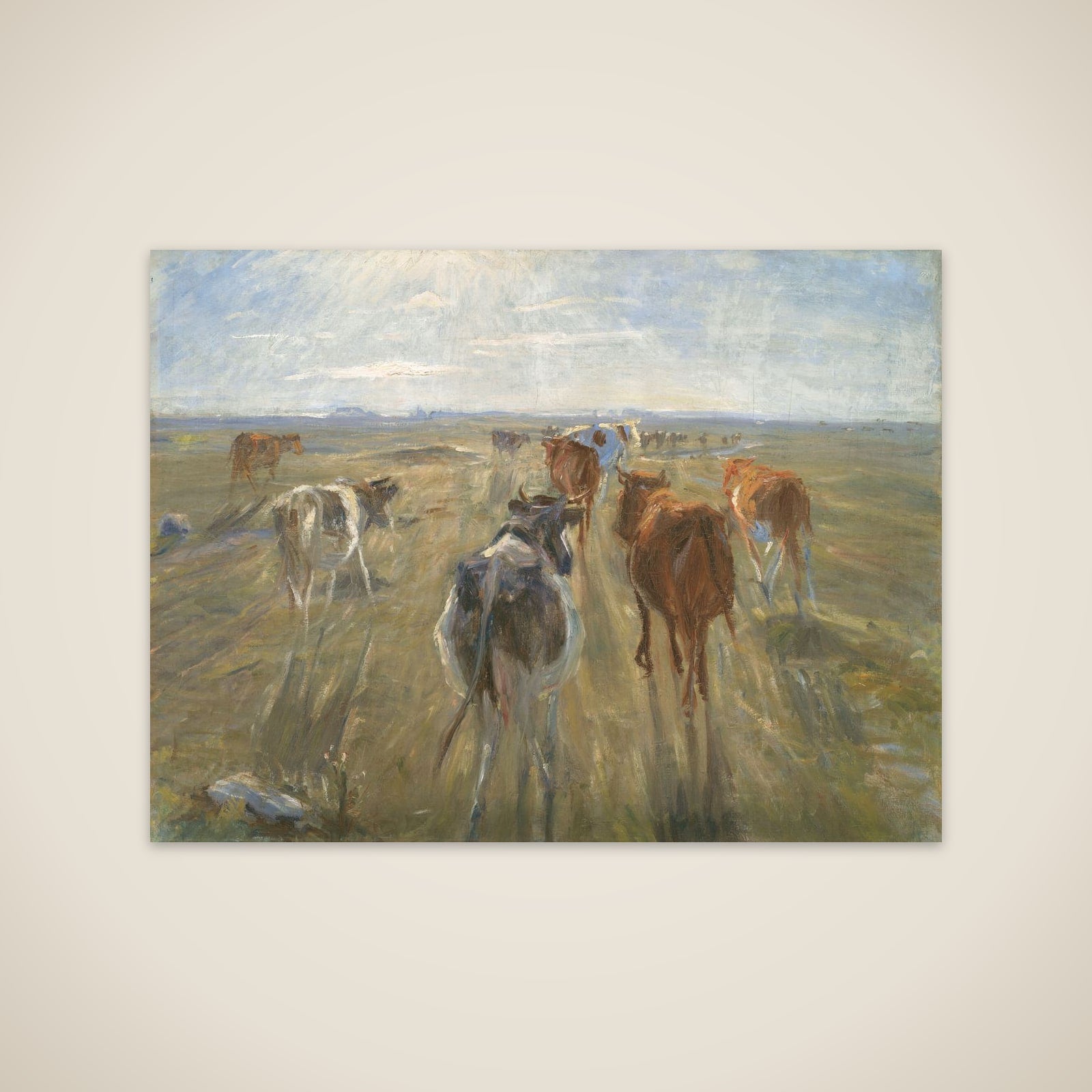 Lange skygger. Kvæg på Saltholm unframed print