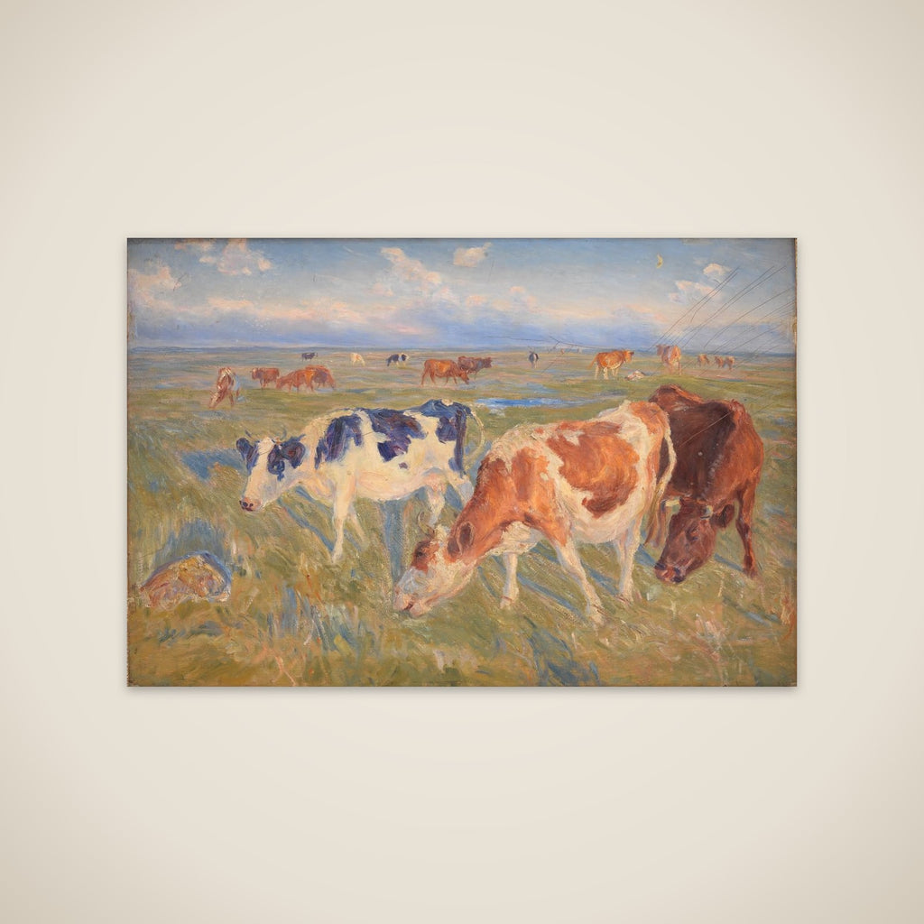 Græssende køer. Saltholm unframed print