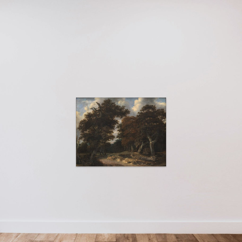 Vej gennem en egeskov unframed — shown to scale