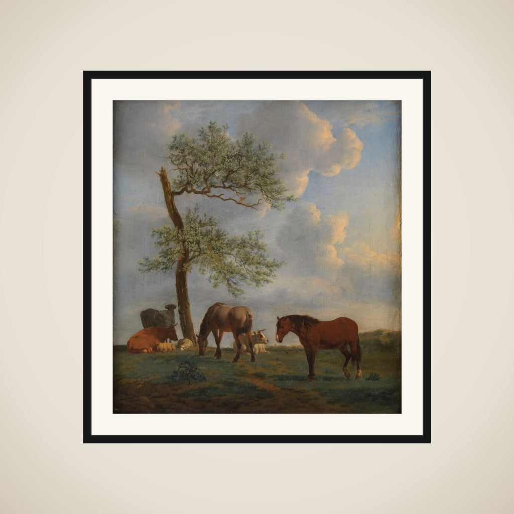 Græsgang med heste og kvæg framed