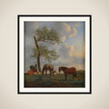Græsgang med heste og kvæg framed