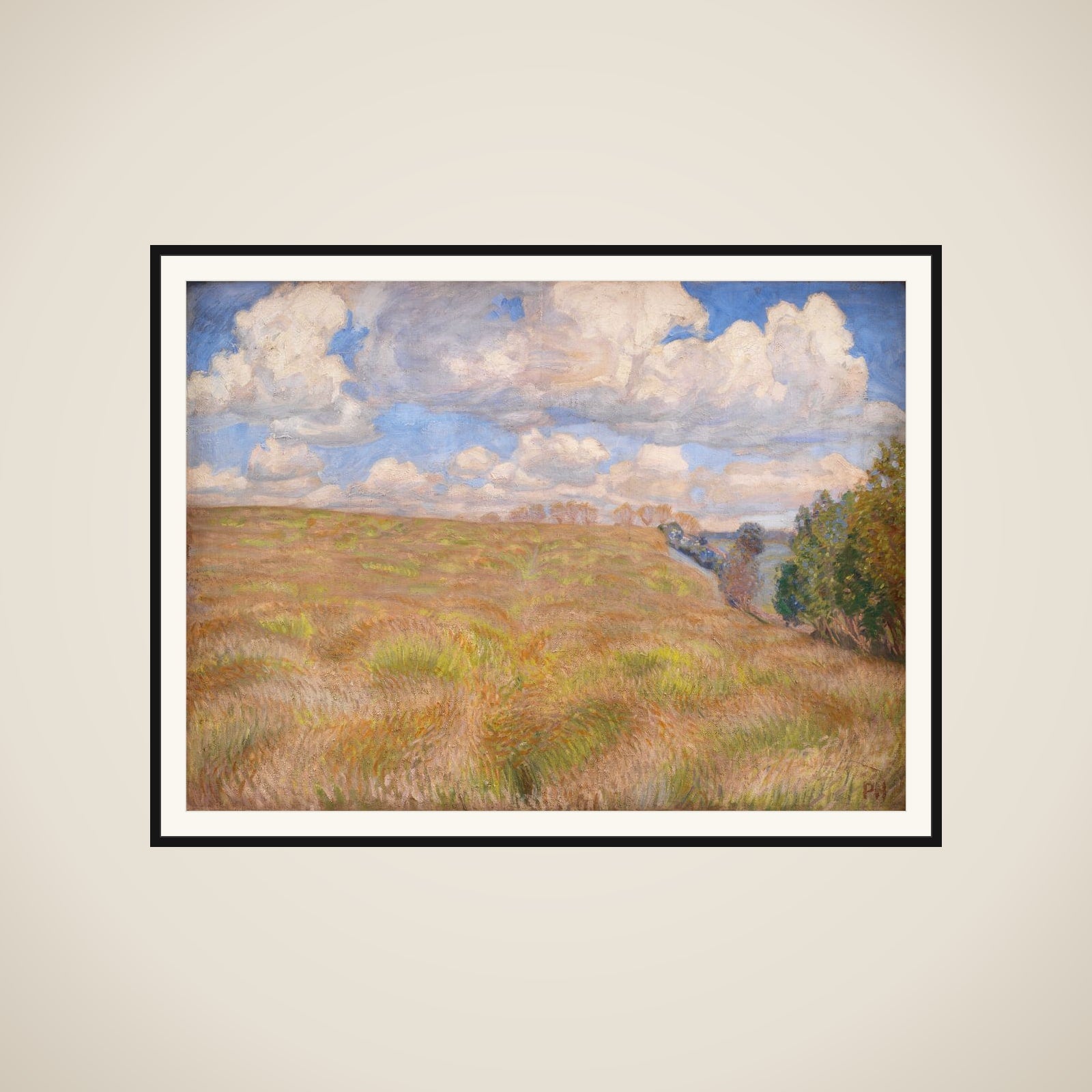 Bølgende rug framed