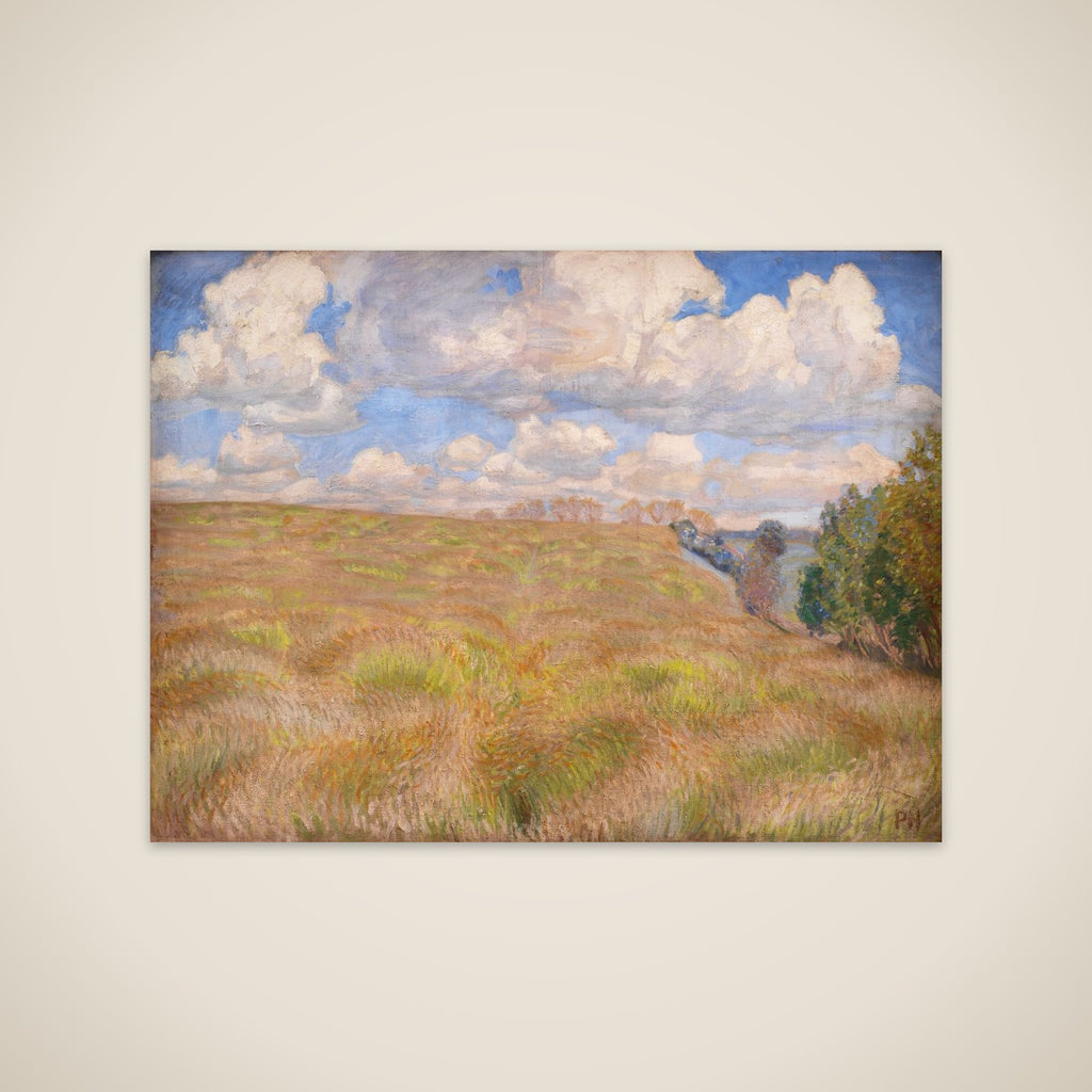 Bølgende rug unframed print