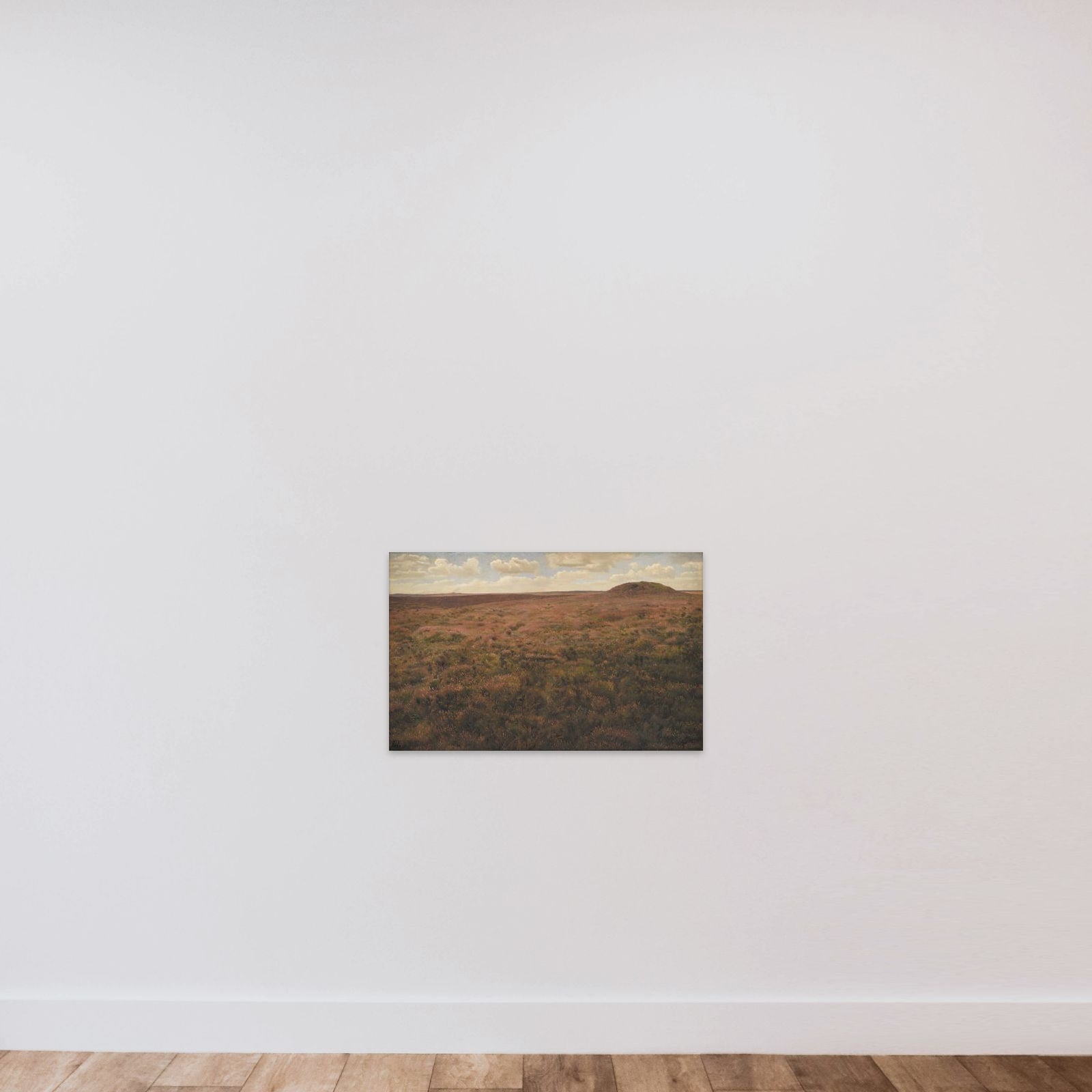 Hedestudie unframed — shown to scale