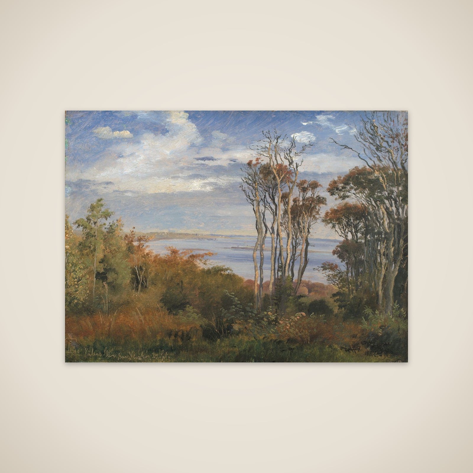 Kolås Skov på Vejrhøj unframed print