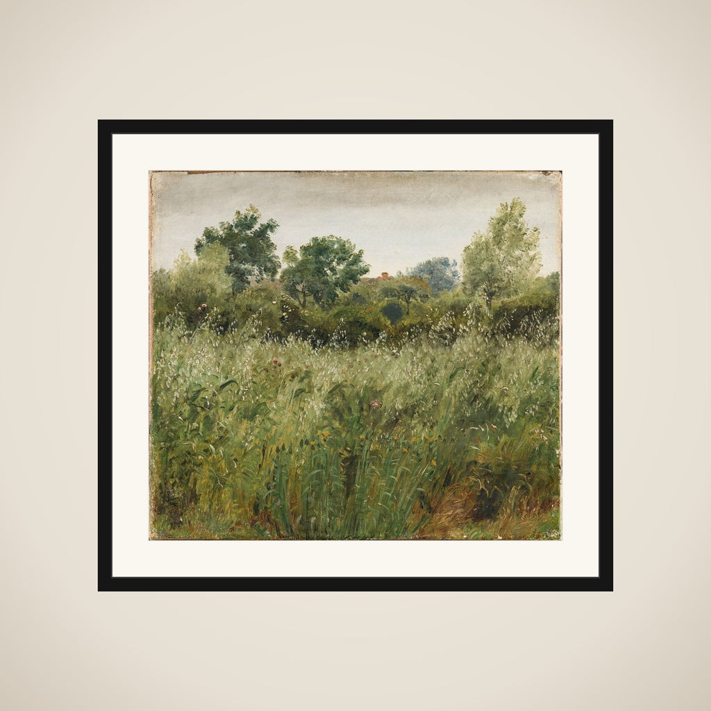 Havremark ved Vejby framed