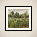 Havremark ved Vejby framed