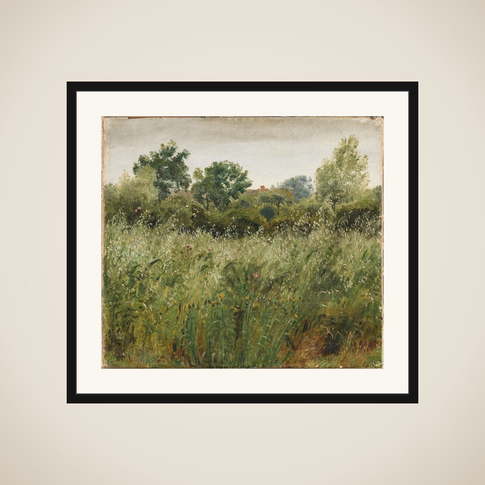 Havremark ved Vejby framed