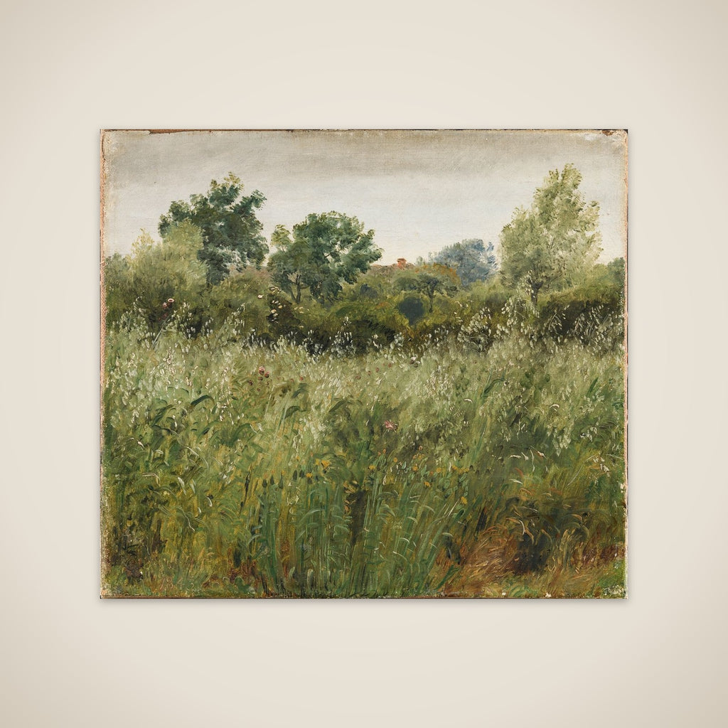 Havremark ved Vejby unframed print