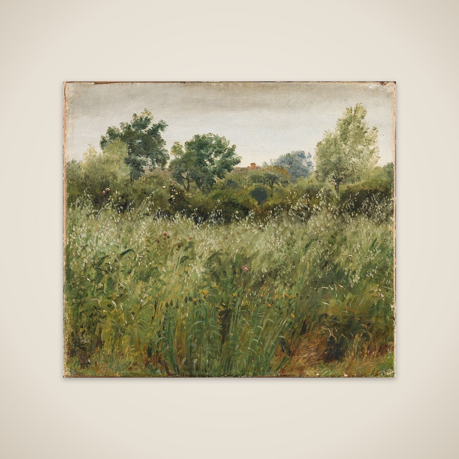 Havremark ved Vejby unframed print