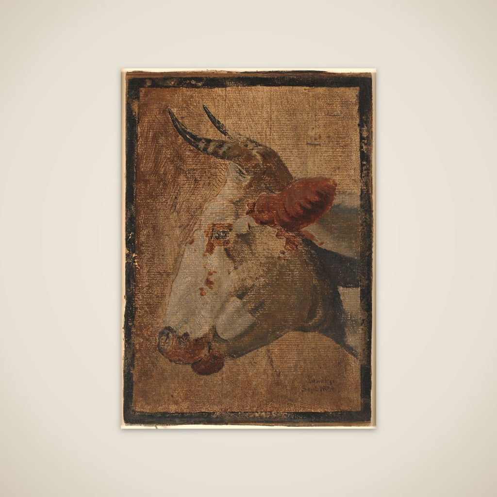 Hoved af en hvidbroget ko, profil mod venstre unframed print