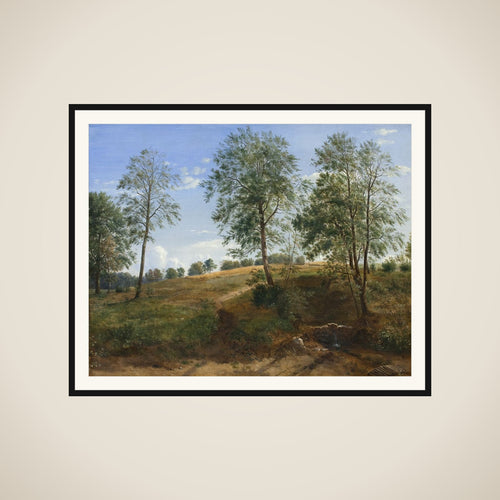 Carolinekilden ved Næsby på Fyn framed