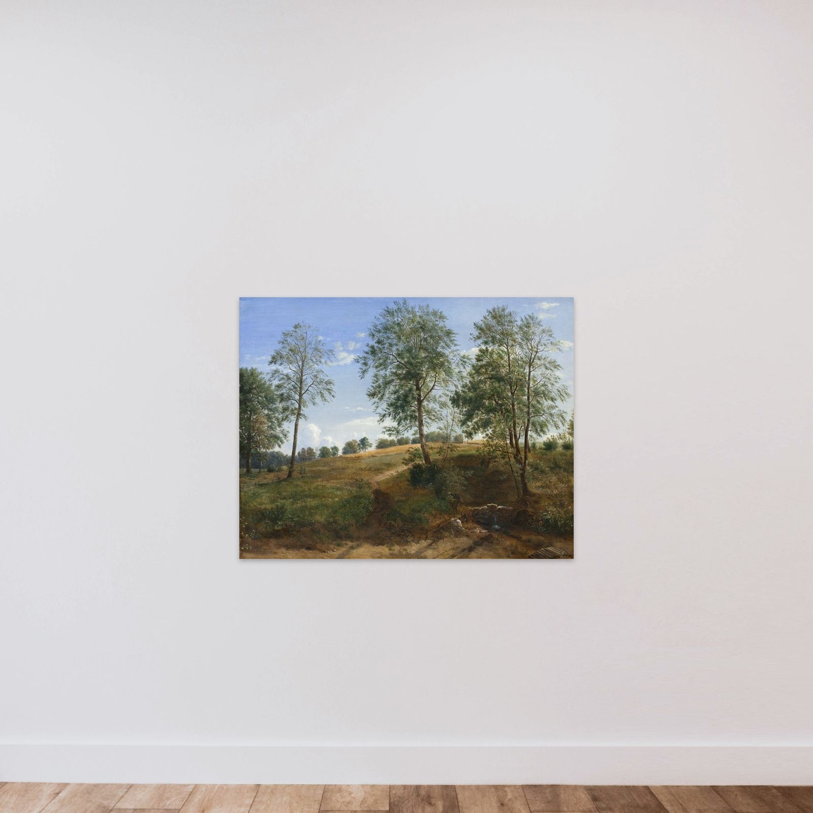 Carolinekilden ved Næsby på Fyn unframed — shown to scale