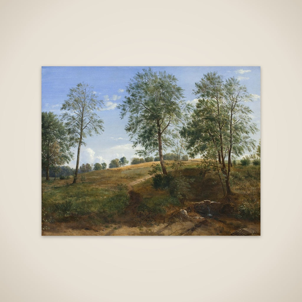 Carolinekilden ved Næsby på Fyn unframed print
