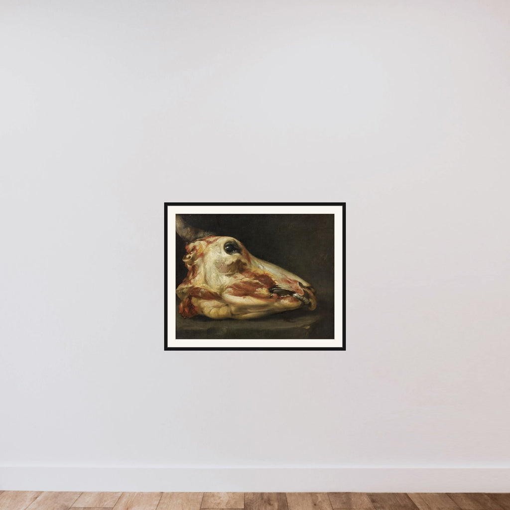 Flået oksehoved framed — shown to scale