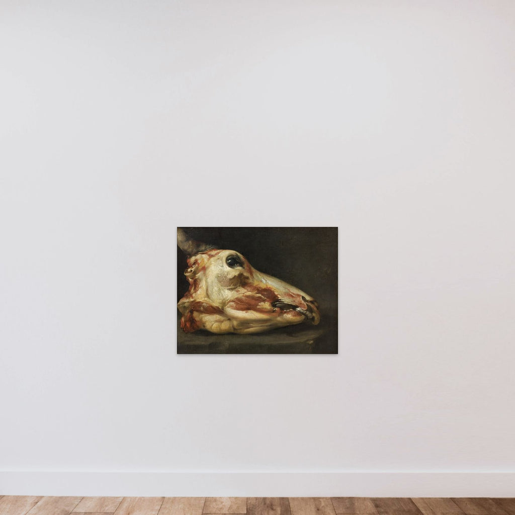 Flået oksehoved unframed — shown to scale