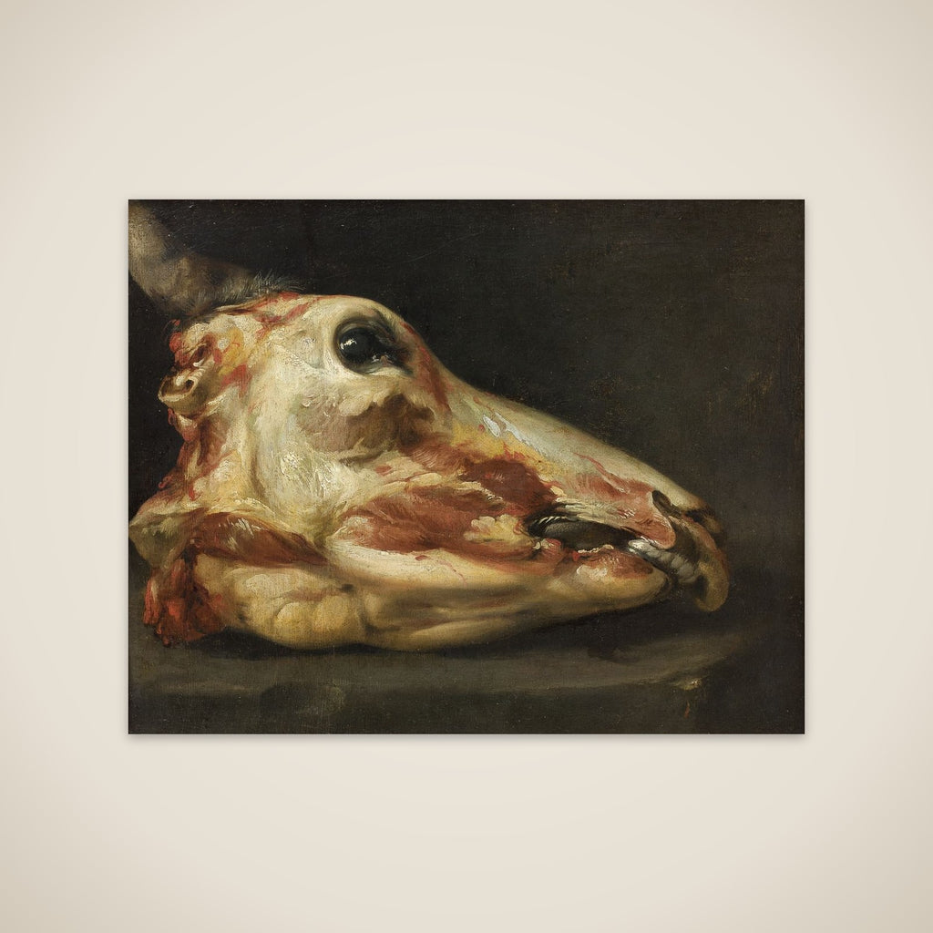 Flået oksehoved unframed print
