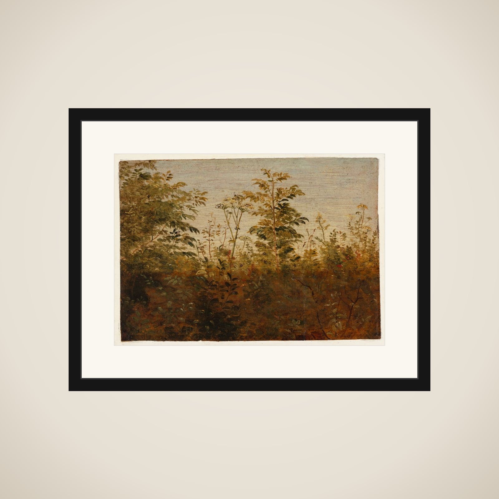 Forgrundsstudie. Planter mod lys luft framed