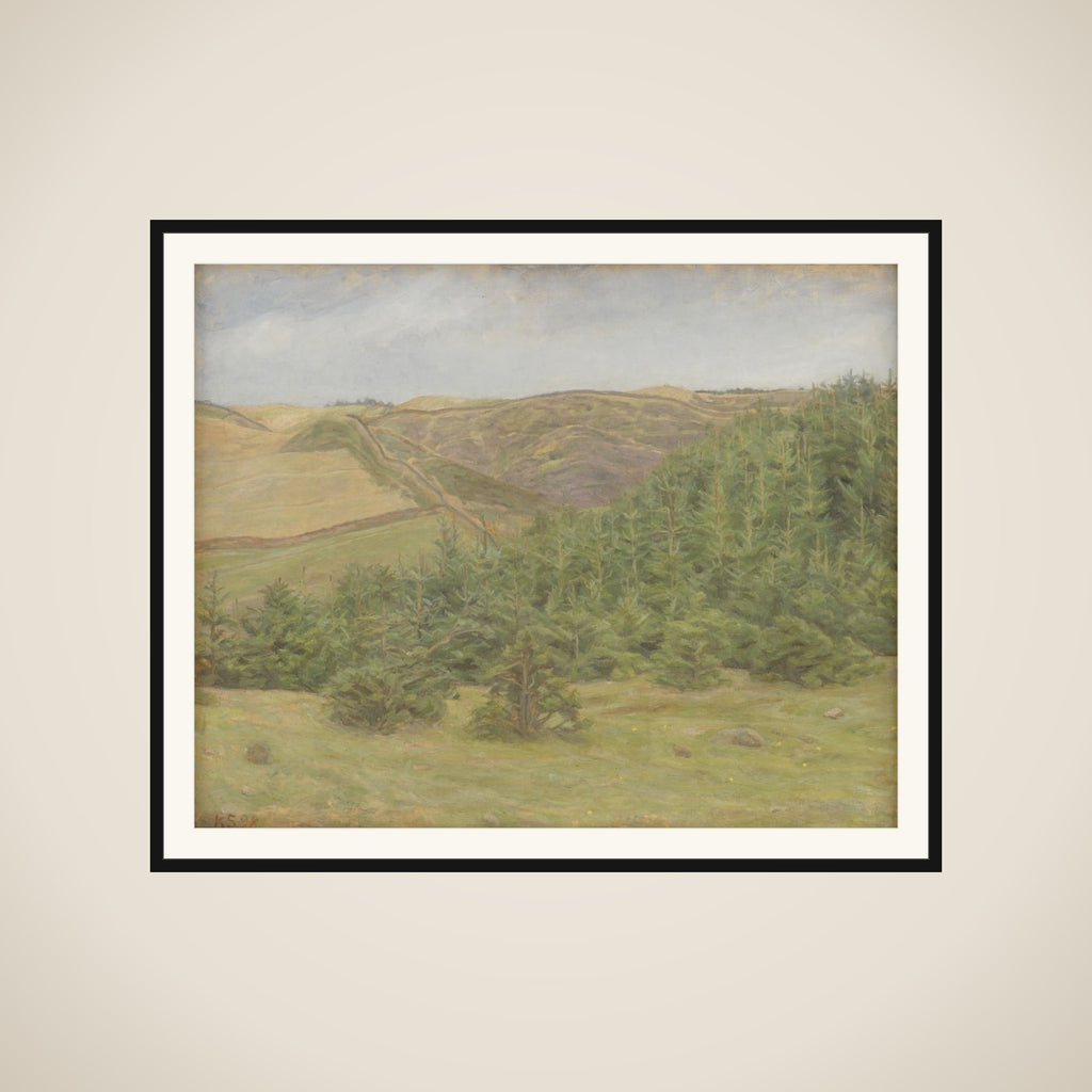 Svanninge Bakker framed