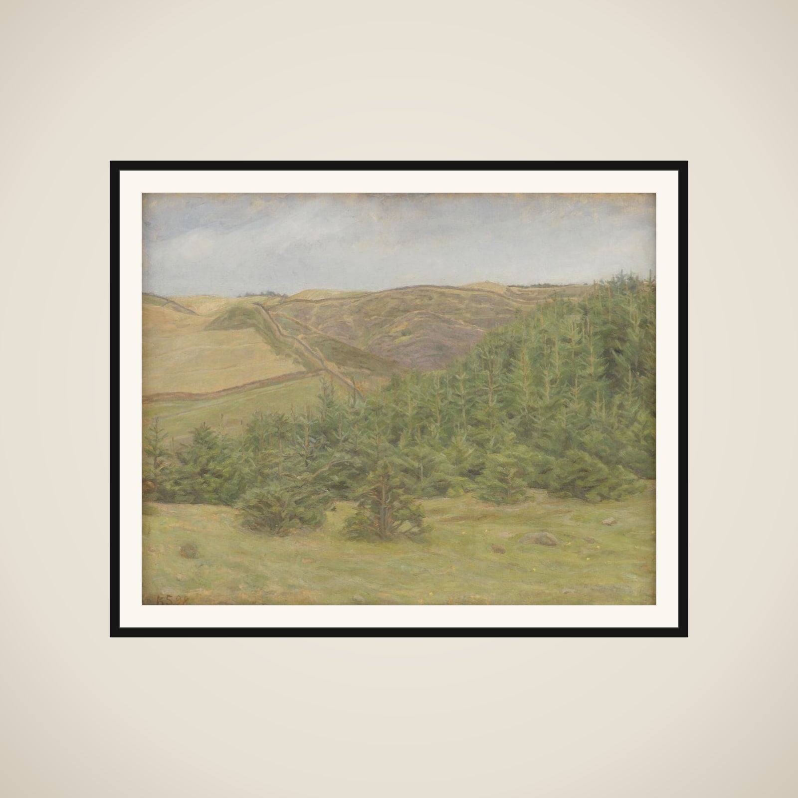 Svanninge Bakker framed