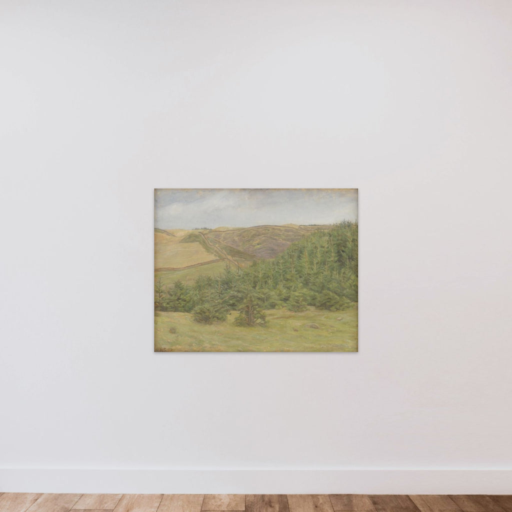 Svanninge Bakker unframed — shown to scale