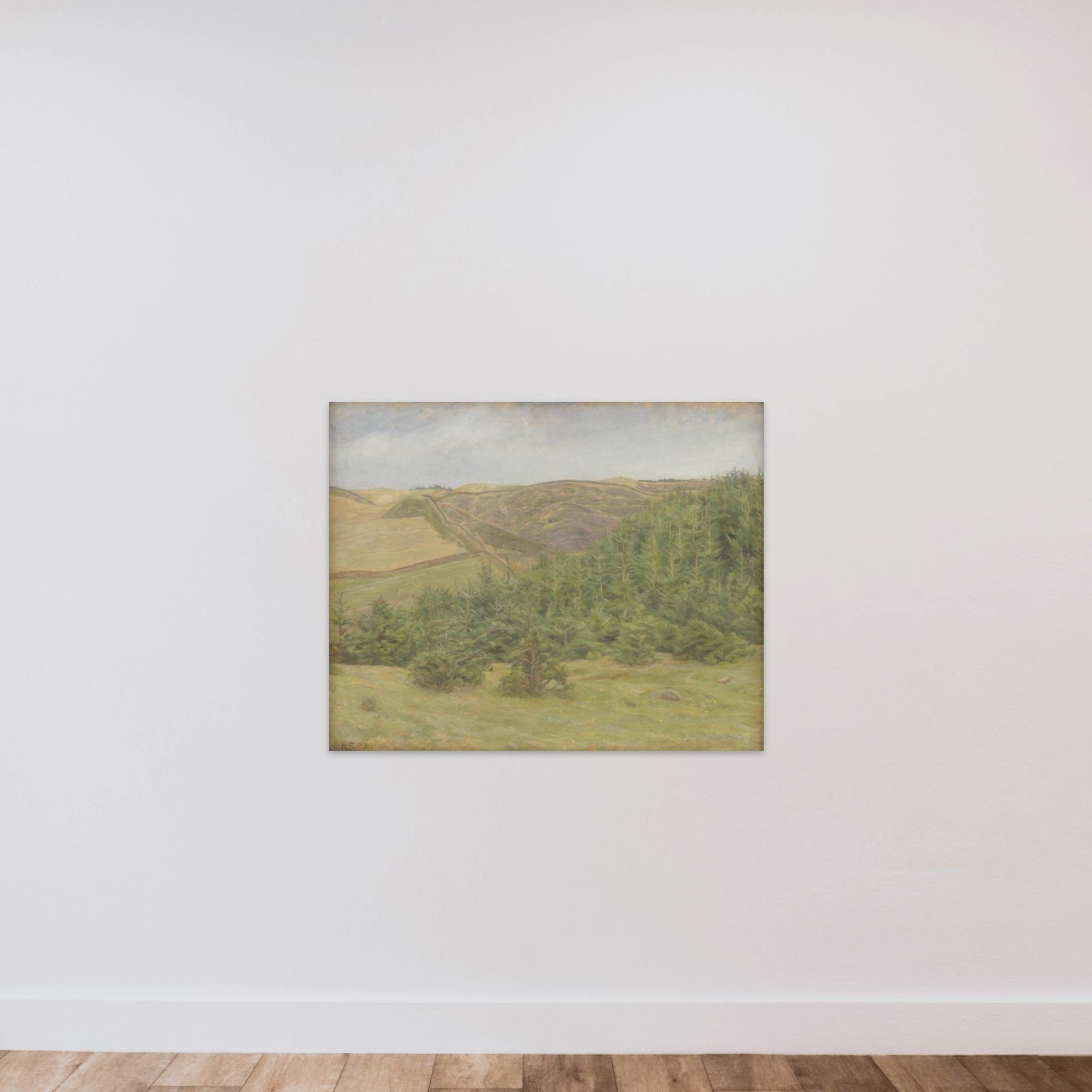 Svanninge Bakker unframed — shown to scale