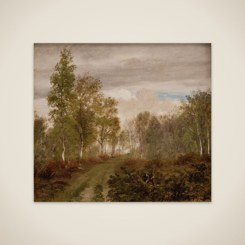 Birketræer på Læsø efter regn unframed print