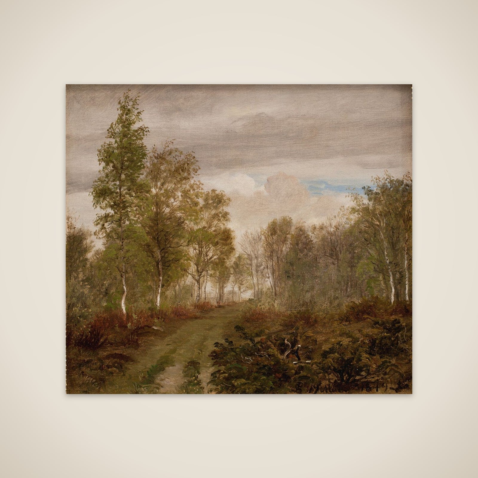 Birketræer på Læsø efter regn unframed print