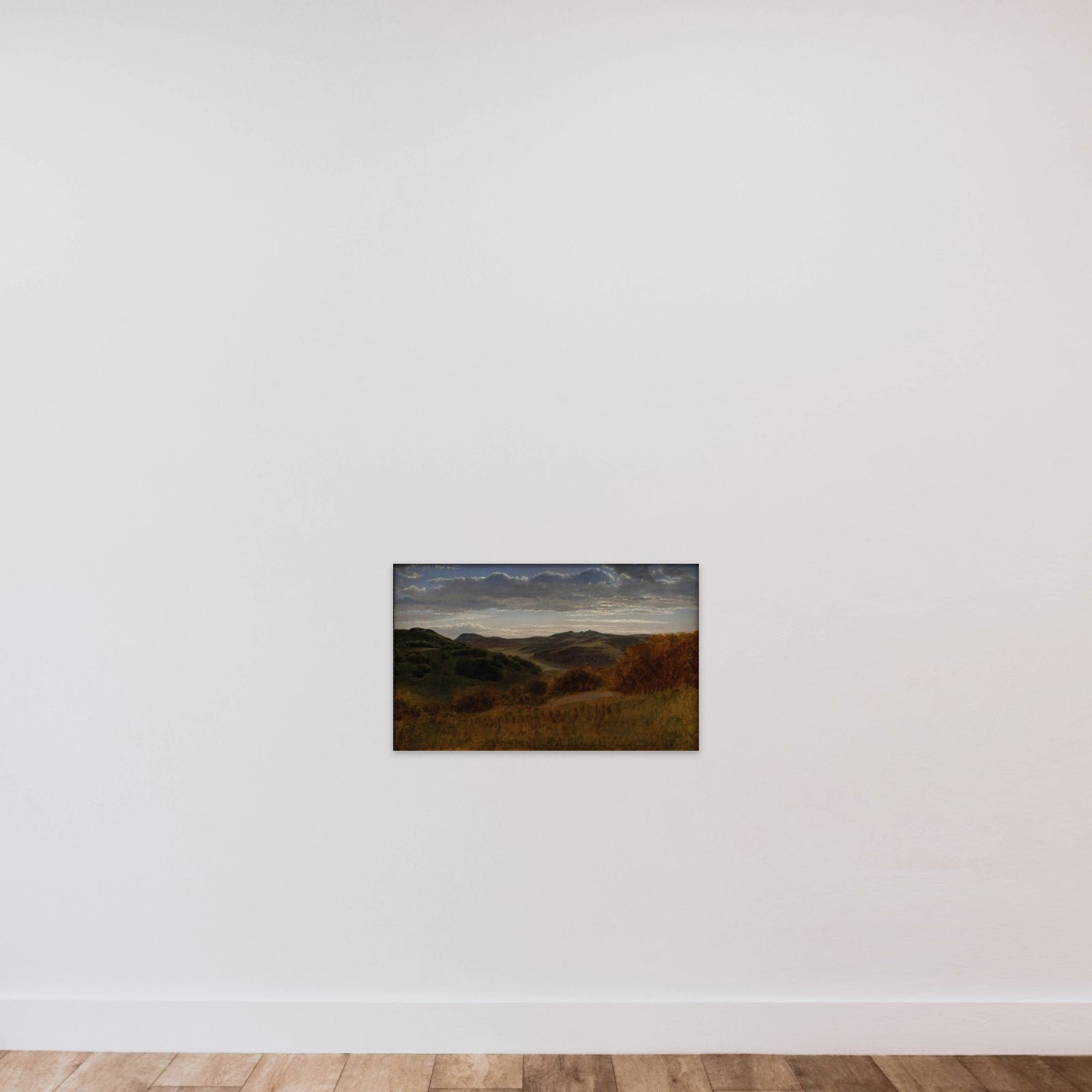 Bakkedrag bag Møns Klint (Jydeleje) unframed — shown to scale