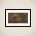 Studie af en bunke sten framed