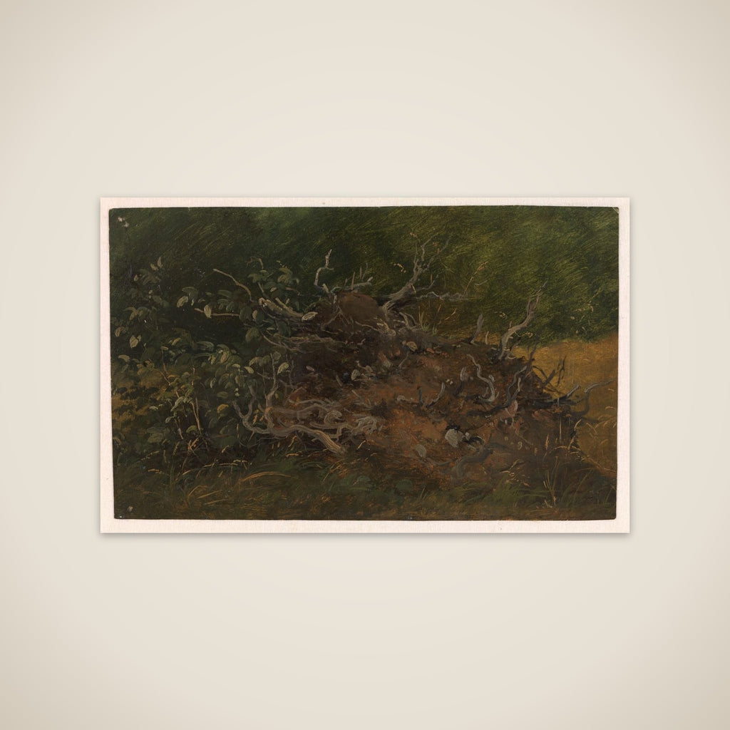 Studie af et stød unframed print
