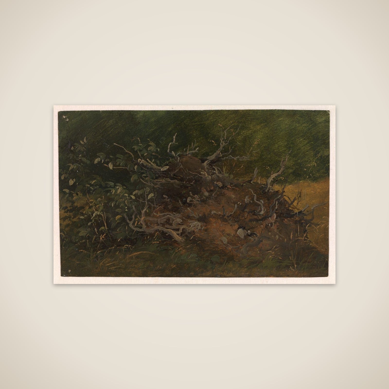 Studie af et stød unframed print
