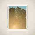 Solnedgang. Fontainebleau framed