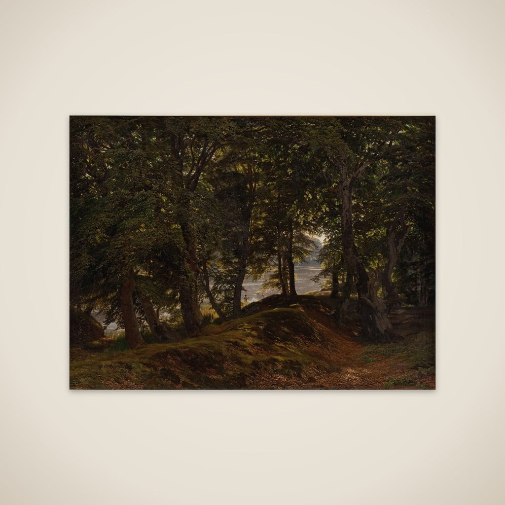 Et skyggefuldt sted i Hestehave ved Frederiksborg unframed print