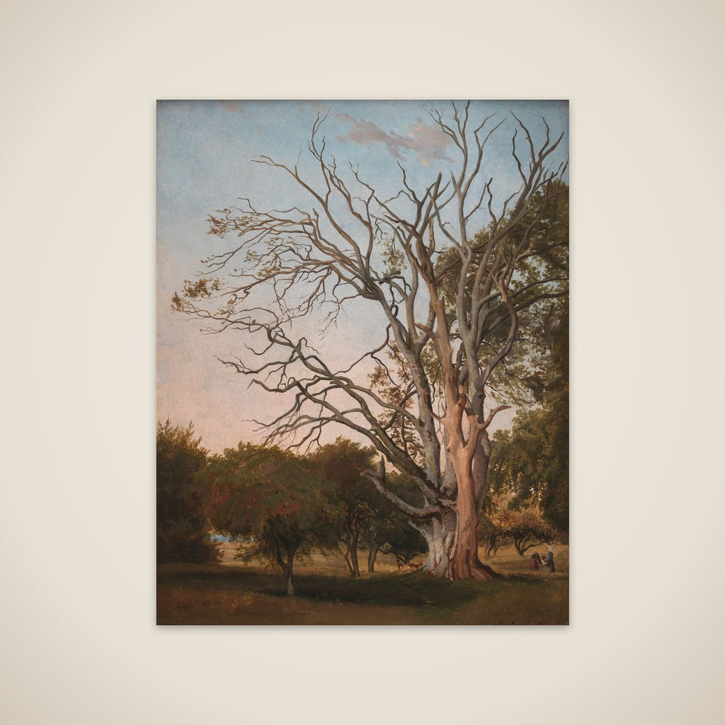 Skovparti med udgået træ unframed print